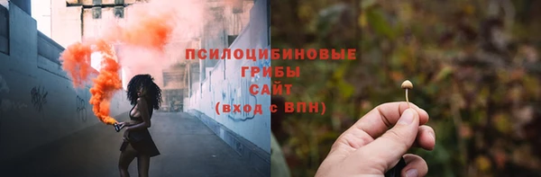 ECSTASY Алексеевка