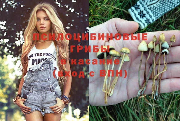 гашик Абдулино