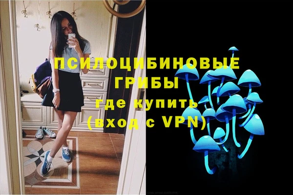 ECSTASY Алексеевка
