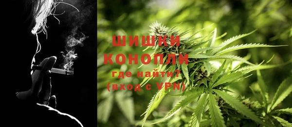 амф Абинск