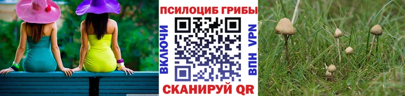 Галлюциногенные грибы Cubensis Шумиха